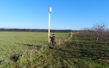 A woman works on the post of of a kestrel nest box and tower.